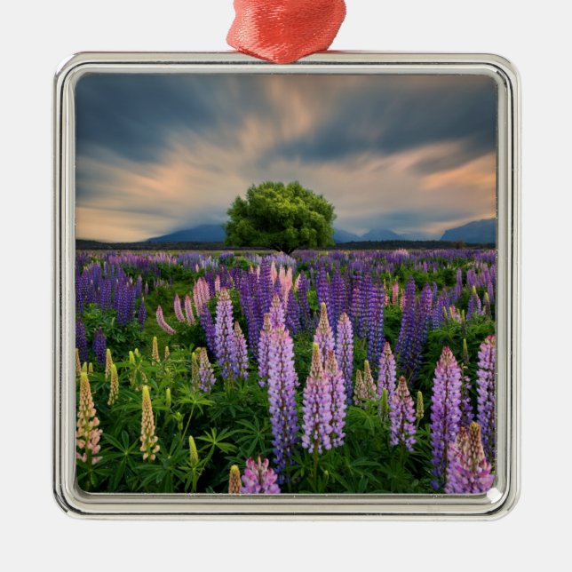 Lupin Field in New Zealand Metal Ornament (Front)