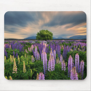 Lupin Field in New Zealand Mouse Pad