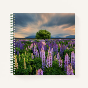 Lupin Field in New Zealand Notebook