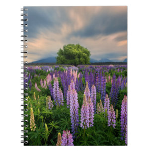 Lupin Field in New Zealand Notebook