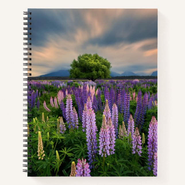 Lupin Field in New Zealand Notebook (Front)