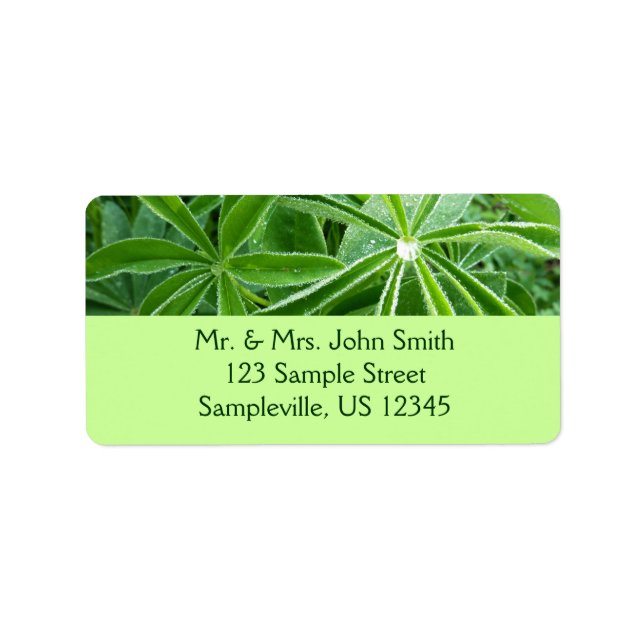 Lupin Leaves Botanical Photography Label (Front)