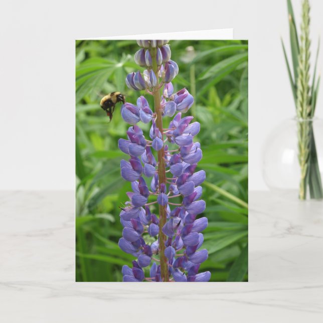 Lupine and bee notecard (Front)