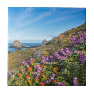Lupine And Paintbrush Wildflowers Tile