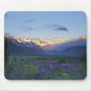 Lupine and the Main Divide, Arthur's Pass, South Mouse Pad