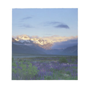 Lupine and the Main Divide, Arthur's Pass, South Notepad