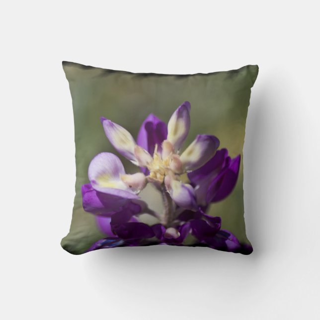 Lupine Black Edge Cushion (Front)