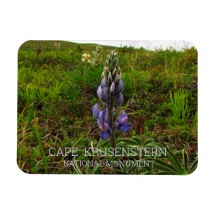 Lupine, Cape Krusenstern National Monument, AK Magnet