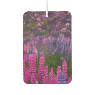 Lupine Flower Field Nature Aesthetic Print Car Air Freshener