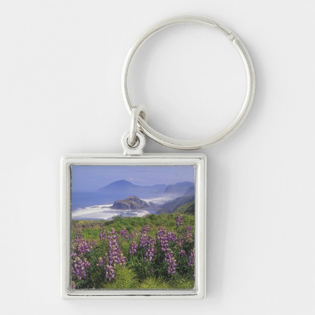 Lupine flowers and rugged coastline along key ring (Front)