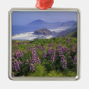 Lupine flowers and rugged coastline along metal ornament