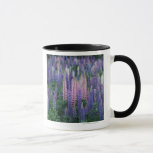 Lupine Mug