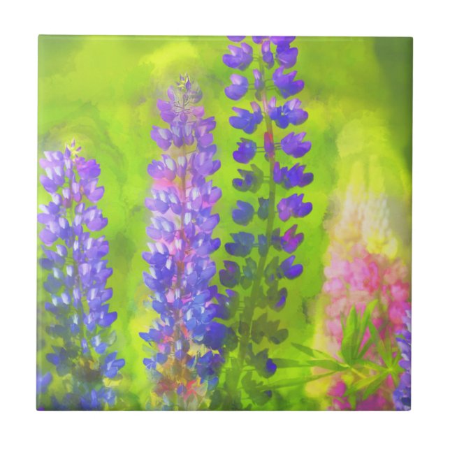 Lupine Painting - Original Flower Art Ceramic Tile (Front)