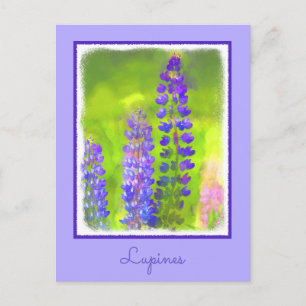 Lupine Painting - Original Flower Art Postcard