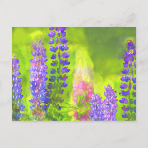 Lupine Painting - Original Flower Art Postcard