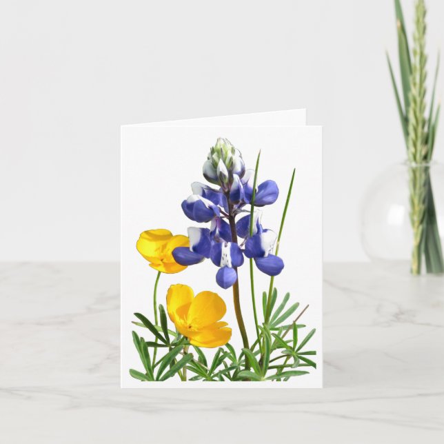Lupine Poppies Note Card (Front)