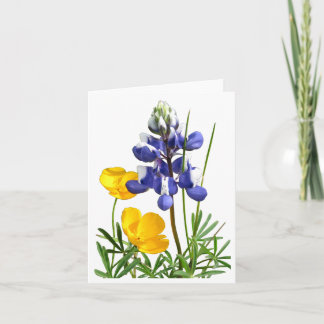 Lupine Poppies Note Card