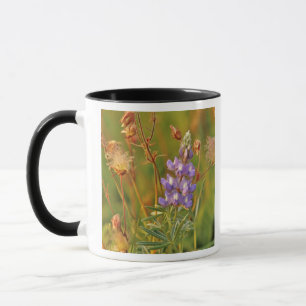 Lupine & Prairie Smoke wildflowers in Montana 2 Mug