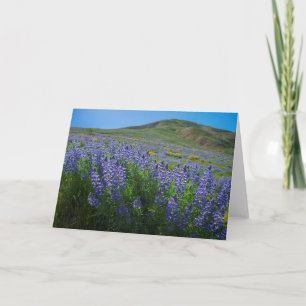 Lupine spring bloom blank card