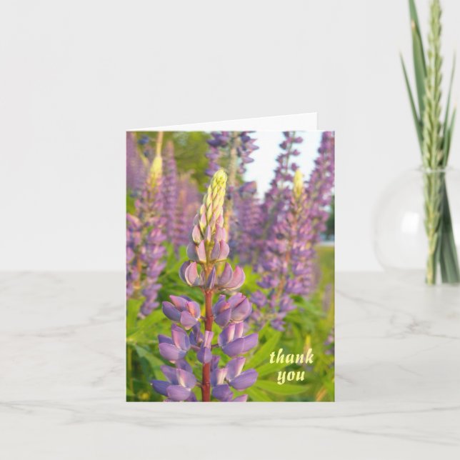 Lupine thank you note card (Front)