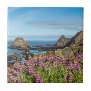 Lupine Wildflowers Cover The Hills Ceramic Tile