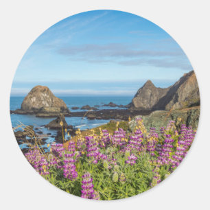 Lupine Wildflowers Cover The Hills Classic Round Sticker