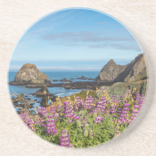 Lupine Wildflowers Cover The Hills Coaster