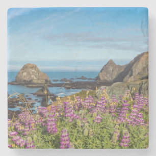 Lupine Wildflowers Cover The Hills Stone Coaster