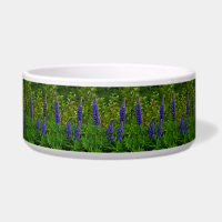 Lupines
