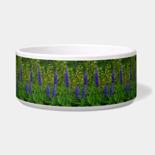 Lupines