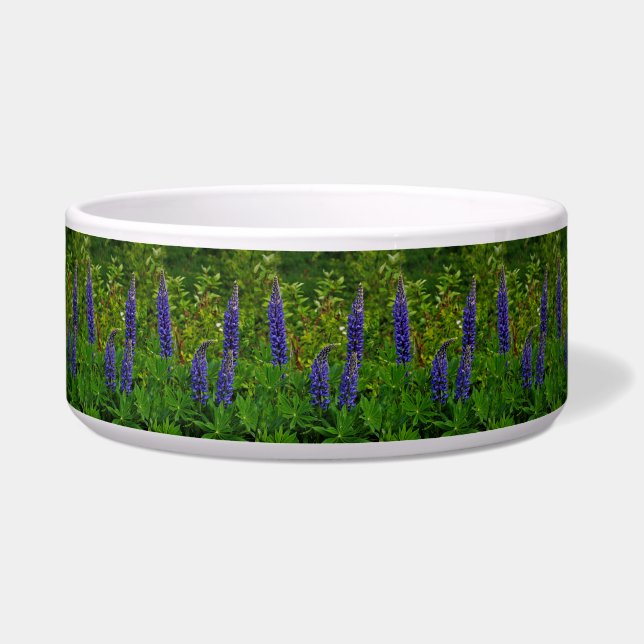 Lupines (Front)