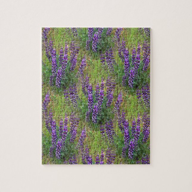 Lupines Galore... Jigsaw Puzzle (Vertical)