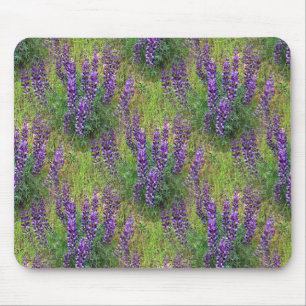 Lupines Galore... Mouse Pad
