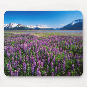 Lupines in Bloom   Kenai Mountains, Alaska Mouse Pad