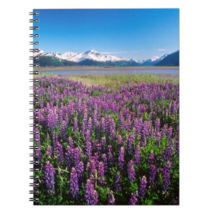 Lupines in Bloom Kenai Mountains, Alaska Notebook