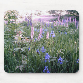 Lupines & Irises Mouse Pad