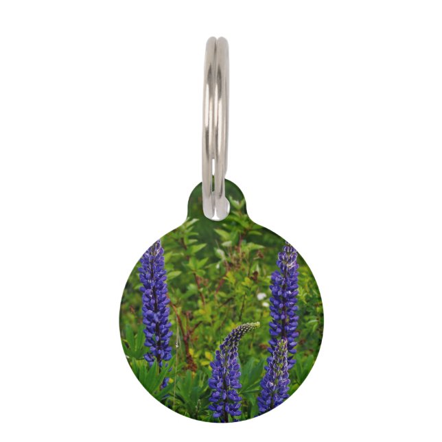 Lupines Pet Tag (Front)
