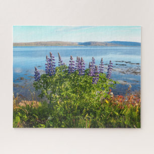Lupins by an Icelandic Fjord Jigsaw Puzzle