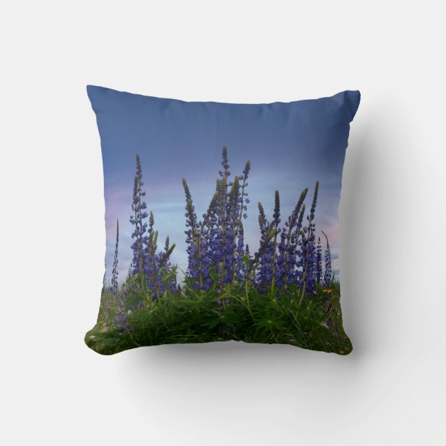 Lupins     cushion (Front)