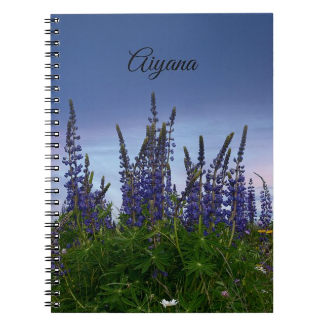 Lupins   notebook (Front)