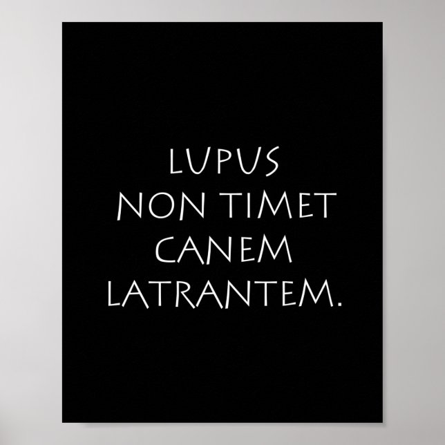 Lupus non timet canem latrantem poster (Front)