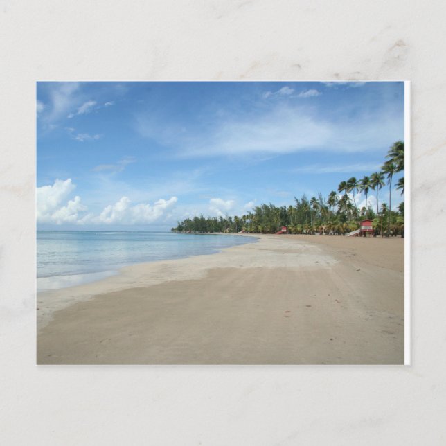 Luquillo Beach, PR Postcard (Front)