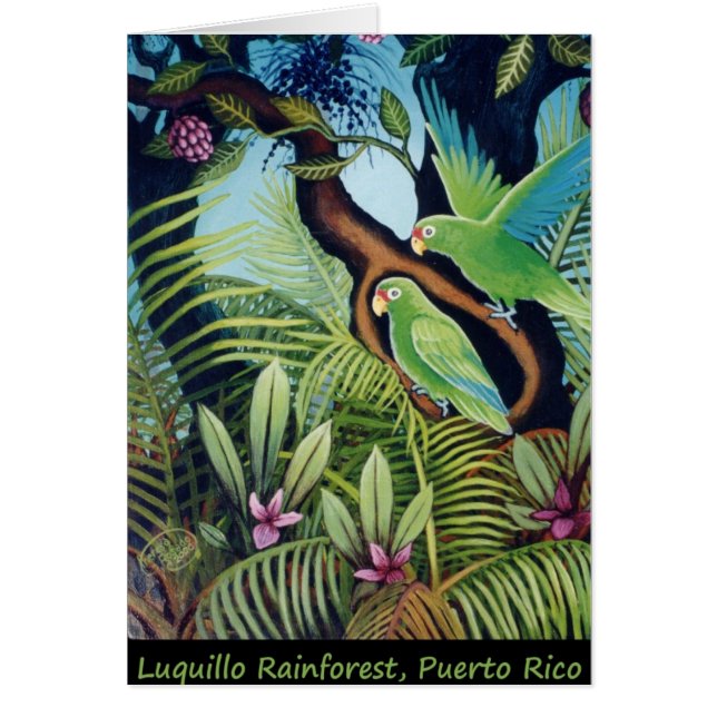 Luquillo Parrots (Front)