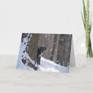 Lurcher Behind A Tree — Greeting Cards
