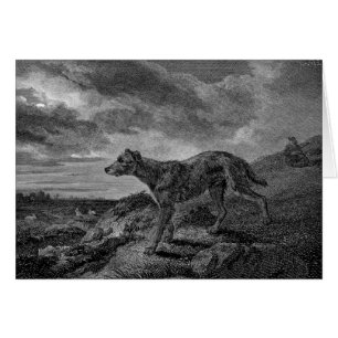 Lurcher Dogs Vintage Drawing