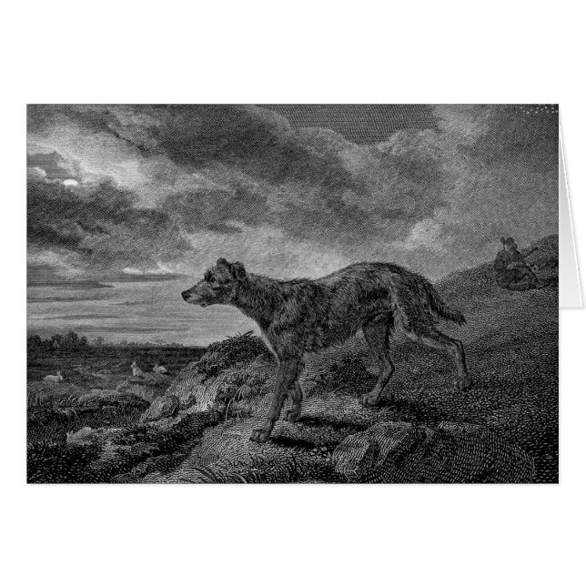 Lurcher Dogs Vintage Drawing (Front Horizontal)