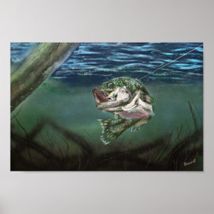 Lured In Fishing Largemouth Bass Poster