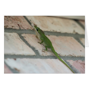 Lurking Green Lizard