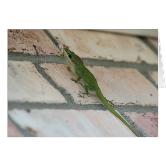 Lurking Green Lizard (Front Horizontal)