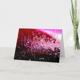 Luscious Greeting Card